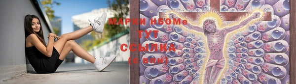 гидра Богданович