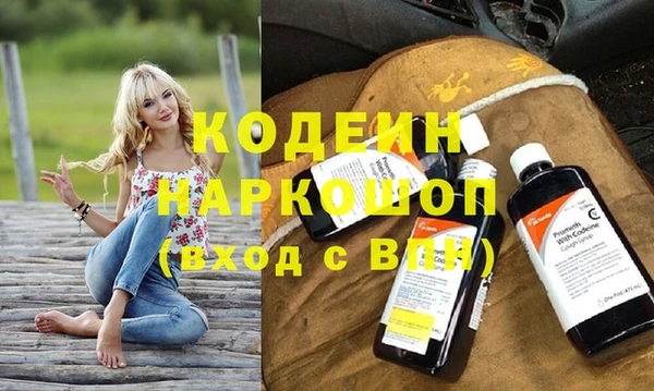 гидра Богданович