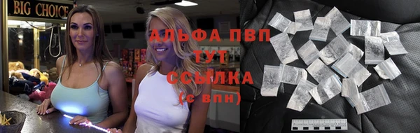 гидра Богданович