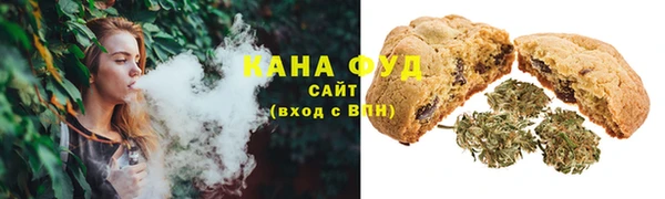 гидра Богданович