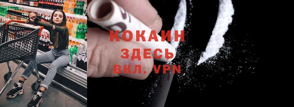 гидра Богданович