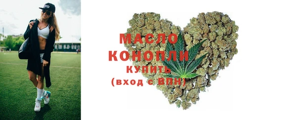 гидра Богданович