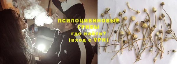 гидра Богданович