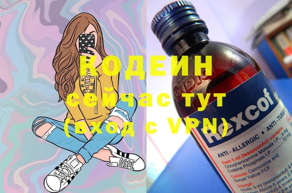 гидра Богданович