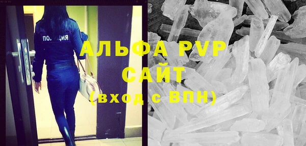 гидра Богданович