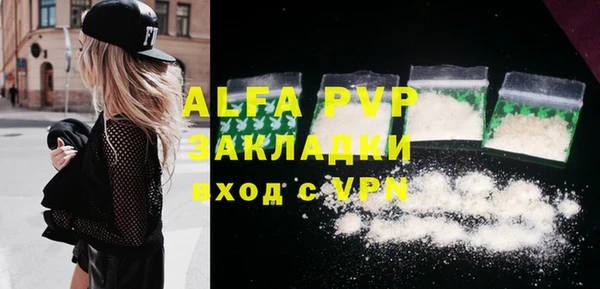 гидра Богданович