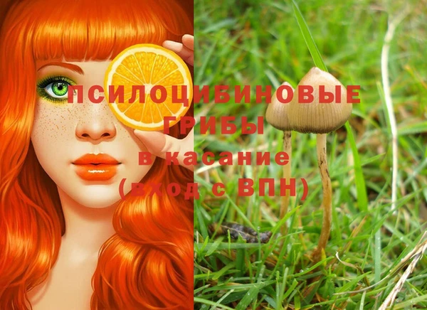 jwh Богородск