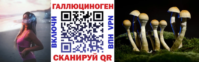 Псилоцибиновые грибы MAGIC MUSHROOMS  как найти   Октябрьский 