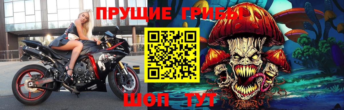 Псилоцибиновые грибы прущие грибы  Вход с VPN  Октябрьский 